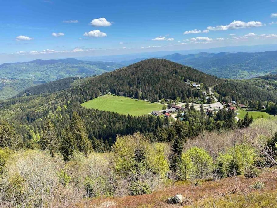 Apartmán Au Nid Des Pies Soultzeren Exteriér fotografie