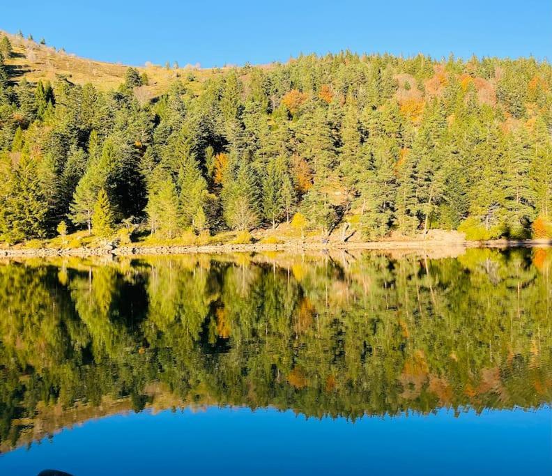 Apartmán Au Nid Des Pies Soultzeren Exteriér fotografie